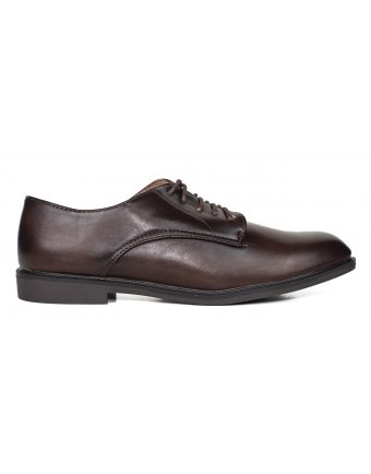 Oxfords sedici brown (OXG1)