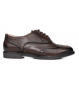 Oxfords sedici brown (OXG2)