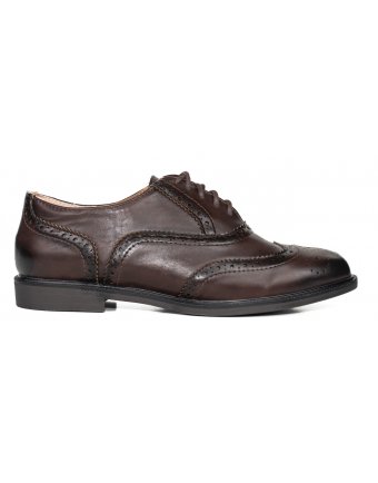 Oxfords sedici brown (OXG2)