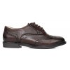 Oxfords sedici brown (OXG2)