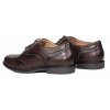 Oxfords sedici brown (OXG2)